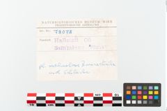 Foto von Bronzeschmelzreste (NHMW-PRAE-078078)